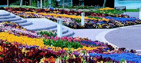 Parkanlage mit farbenprächtigen Blumenbeeten, geschwungenen Wegen und Laternen